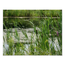 Pond Ripple 11 x 8.5 Photographic Print