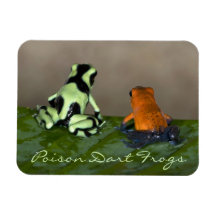 Pondering the Situation Rectangle Magnets