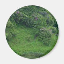 Ponds Bushes Trails Fridge Magnets