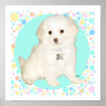 Poodle / Bichon Mix Puppy Celebrates Life Print