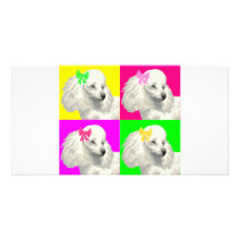 Poodle Bright Collage1 Picture Card