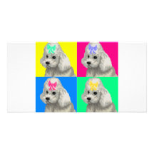 Poodle Bright Collage 2 Photo Cards