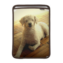Poodle Dog 13" MacBook Sleeve