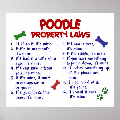 POODLE PL2 POSTER