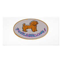 Poodlerific design photo greeting card