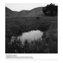 Pool, Watershed I Experiment by Ansel Adams posters