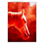 Pop Art Horse Head Card