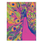 Pop Peacock Postcards
