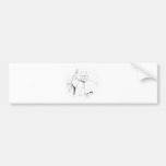 Pope Benedict Bumper Stickers