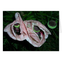 Poppies At Night Greeting Cards