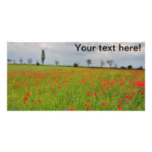 Poppies field personalised photo card
