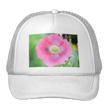 Poppy Bloom - Papaver Somniferum Trucker Hats
