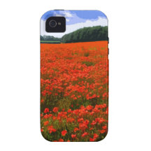 POPPY FIELD 3 iPhone 4/4S COVERS
