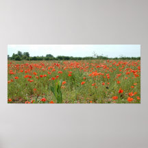 Poppy Field Print