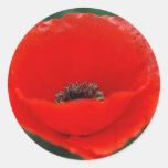 Poppy flower and meaning sticker