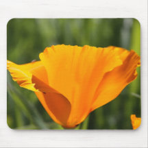 Poppy in Orange Mouse Pad