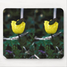 Poppy Mousepads