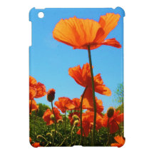 Poppy Photo
