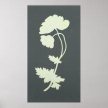 Poppy Posters