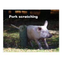 'Pork scratching' postcard