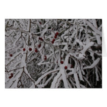 PORTLAND WINTER CARDS