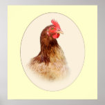 Portrait of a Brown Hen Print