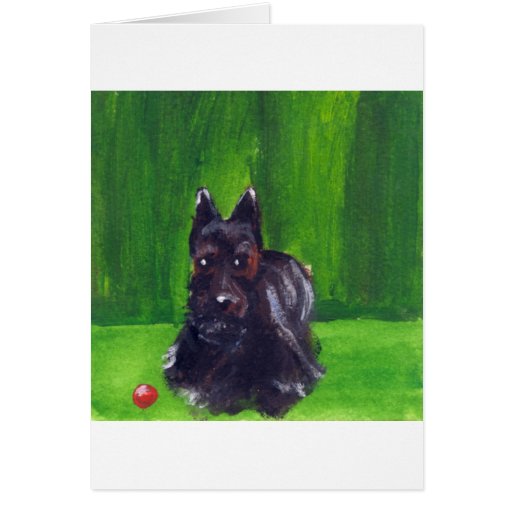 Portrait of a Scottish Terrier Card