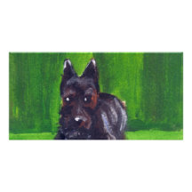 Portrait of a Scottish Terrier Custom Photo Card