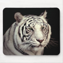 Portrait of a White Bengal Tiger Mouse Pad
