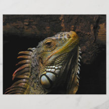 Portrait of an Iguana Personalized Flyer