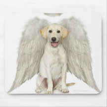 Portrait of white Labrador retriever wearing Mouse Pads