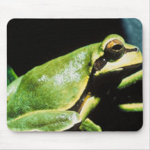Posing Frog Mouse Pad
