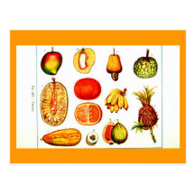 Postcard-Botanicals-Yellow & Orange Fruits
