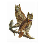 Postcard: Great Horned Owl
