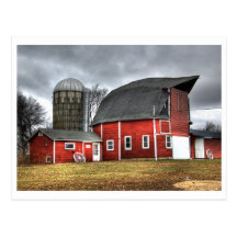 Postcard, Hamann barn