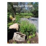 Postcard - Mumm Napa, Napa Valley Vineyard