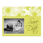 [Postcard] Olive Green Sunflowers Save the Date