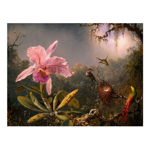 Postcard: Orchid and Hummingbirds
