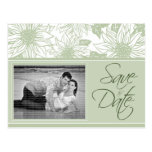 [Postcard] Sage Green Sunflowers Save the Date