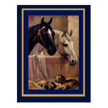Postcard Vintage Horses Dogs