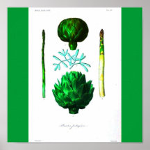 Poster-Botanicals-Artichoke and Asparagus