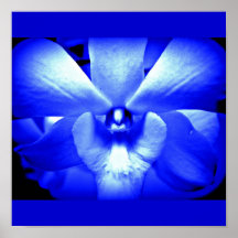 Poster-Flowers-Painted Flowers 13