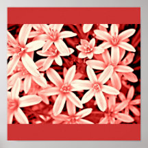 Poster-Flowers-Painted Flowers 16