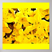 Poster-Flowers-Painted Flowers 17