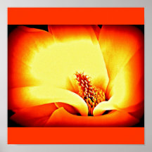 Poster-Flowers-Painted Flowers 9