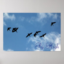 Poster - Geese in flight