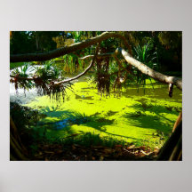 Poster Green Pond