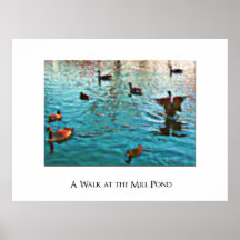 Poster Print