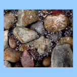 Poster - rain drops on spiderweb over river rocks posters