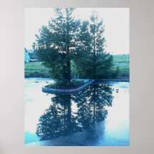 Poster: Reflection of Trees in Puddles